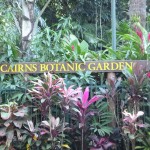 Botanischer Garten 2