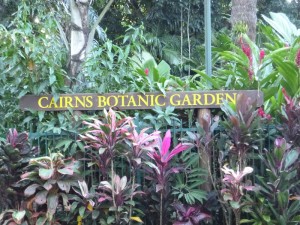 Botanischer Garten 2