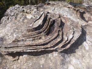 Steinformation in den Blue Mountains